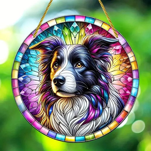 Border collie suncatcher - collie,