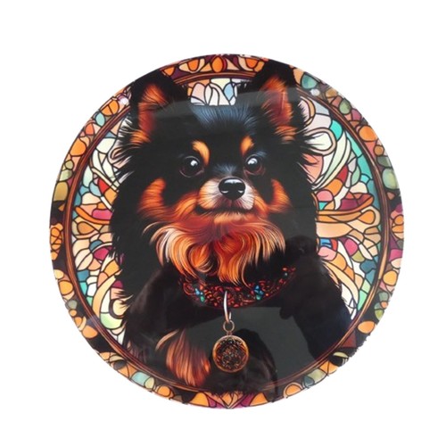 Brown black pomeranian - black,